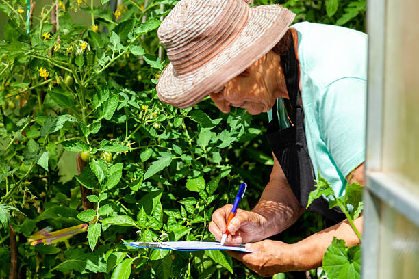 istock Elderly Female Farmer Observing Plants and Taking Notes 2203536066