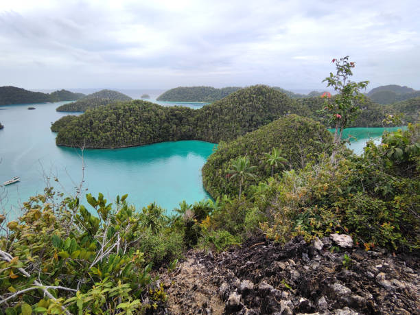 istock Panoramic view of Wayag lagoon, Raja Ampat, Indonesia 2203539586