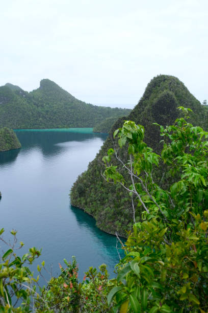istock Panoramic view of Wayag lagoon, Raja Ampat, Indonesia 2203539722