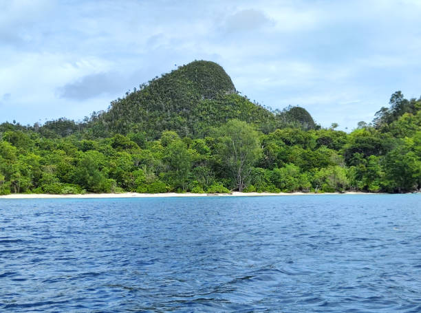 istock Wayag island, Raja Ampat, Indonesia 2203541301