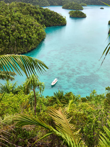istock Wayag lagoon, Raja Ampat, Indonesia 2203541475