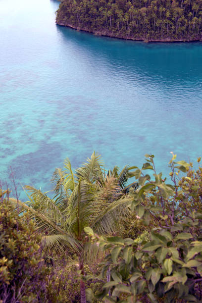 Panoramic view of the idyllic Wayag lagoon, Raja Ampat, West Papua. Wayag is one of the most beautiful lagoons of Indonesia and South East Asia, located in the north of Raja Ampat. The archipelago is located in an extremely remote location on the north of Waigeo island.