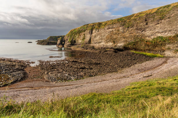 istock The cliffs and North Sea coast in Crawton, Scotland, UK 2203546382