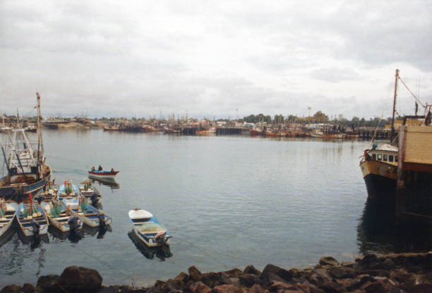 istock Puerto Penasco Harbor 2203547736