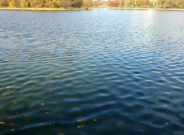 autumn in city park at day