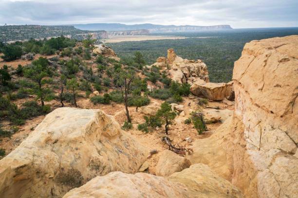 istock Overlook at El Malpais National Monument 2203550056