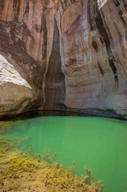 istock Water at El Morro National Monument 2203551442