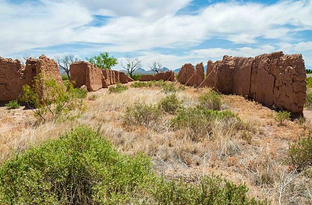 istock Ruins of Fort Selden State Monument 2203551578