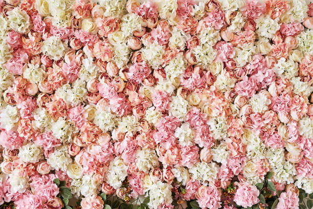istock Summer blossoming delicate roses and hydrangeas on flowers festive background, pastel and soft bouquet floral card. Spring Greeting Card Template. Copy Space. Wedding scene. Mothers Day,female card 2203553251