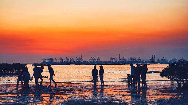 istock Silhouetted beachgoers at sunset with industrial cranes. 2203553808