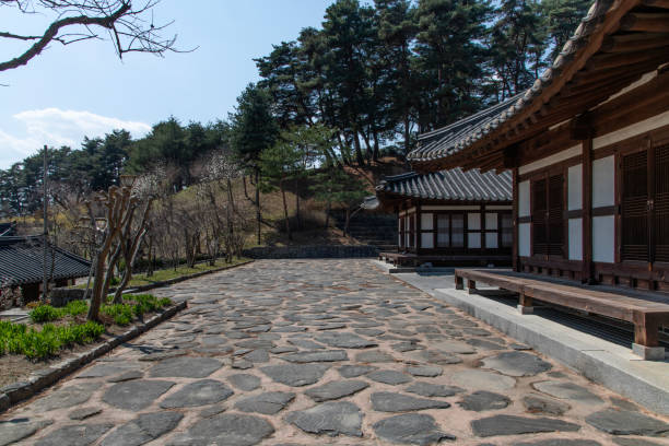 istock paved walkway by the traditional Korean buildings 2203554381