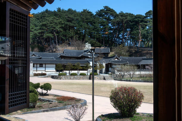 istock traditional Korean buildings seen from the cafeteria 2203554620