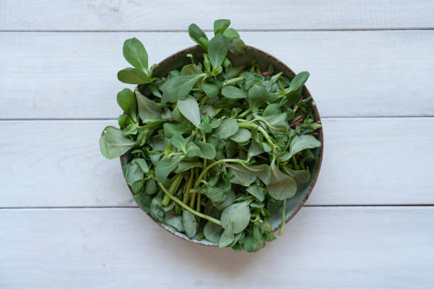 istock Purslane, vegetable food 2203554915