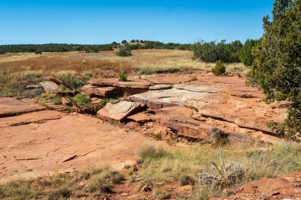 istock Abo Ruins at Salinas Pueblo Missions National Monument 2203556567