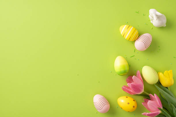 istock Easter eggs in soft pastel colors arranged with fresh tulips on a green backdrop. Perfect for seasonal themes, springtime celebrations, and festive Easter settings 2203556779