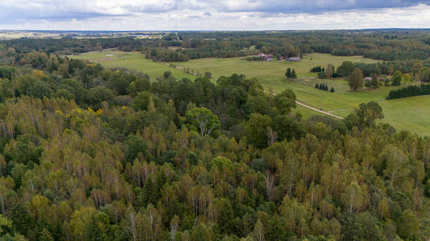 istock Aerial View of Forest and Fields with Distant Farmhouse 2203556833