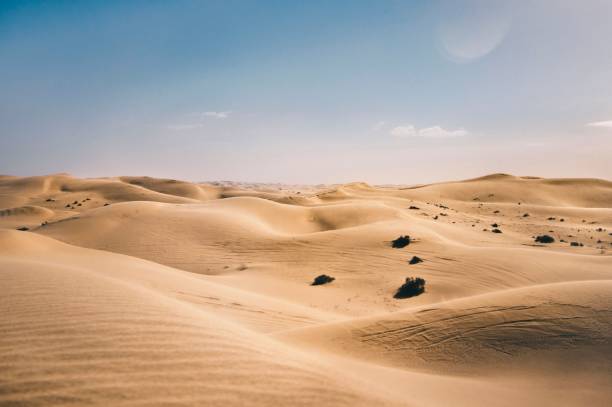istock Golden sand dunes under a bright blue sky in a vast desert landscape. 2203558573