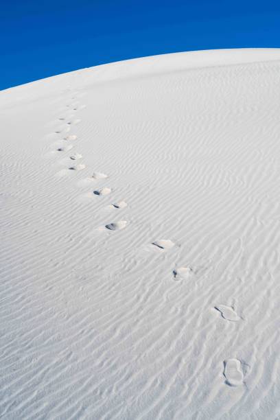 istock White Sands National Park 2203561394