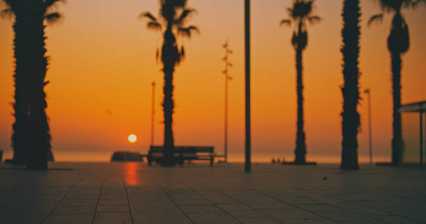 istock Sunrise Glow Over Barcelona Promenade 2203562458