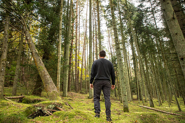 alone man standing in pine forest in sweater and hiking boots enjoying nature