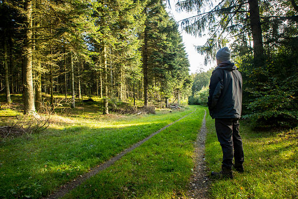 istock man standing on path in forest thinking, man and nature, alone man in nature in scandinavia 2203564174