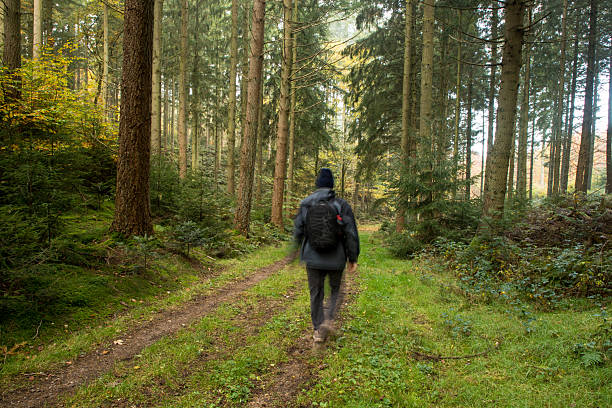 single man standing i lush green forest on path resting enjoying nature