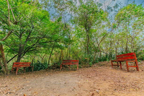 istock Serene Red Benches in a Tranquil Forest Setting. Peaceful Red Seats Amid a Quiet Woodland Retreat 2203570958