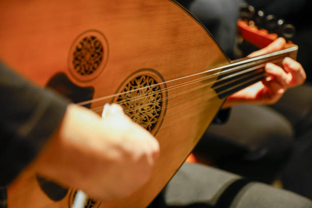 A musician plays a stringed instrument. Close up photo.