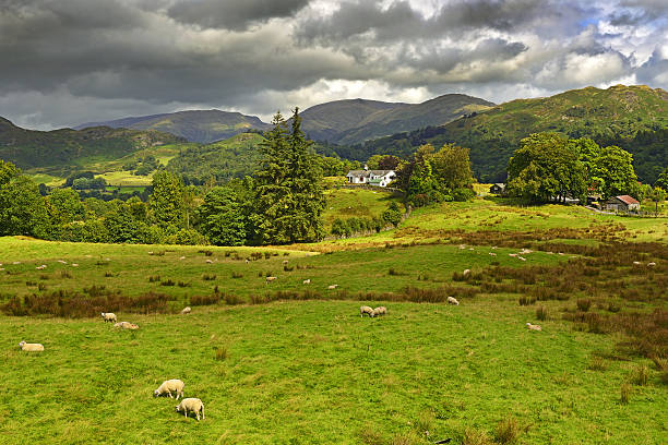 istock Cumbrian Mountains west of Ambleside, England 2203572843