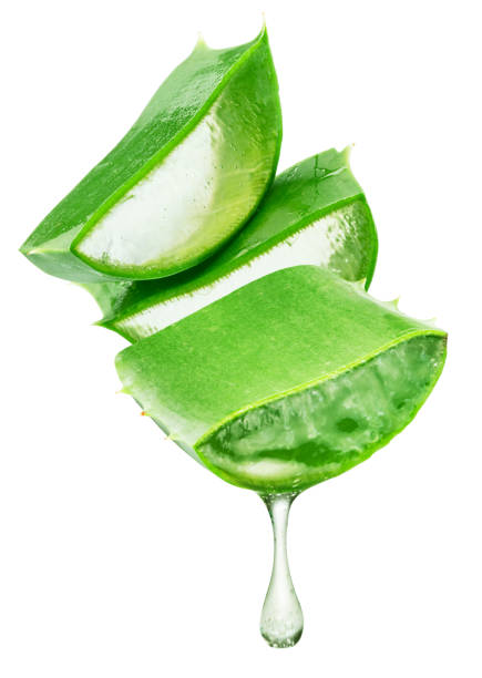 istock Aloe vera slices and dropping gel  on white background. File contains clipping path. 2203576859