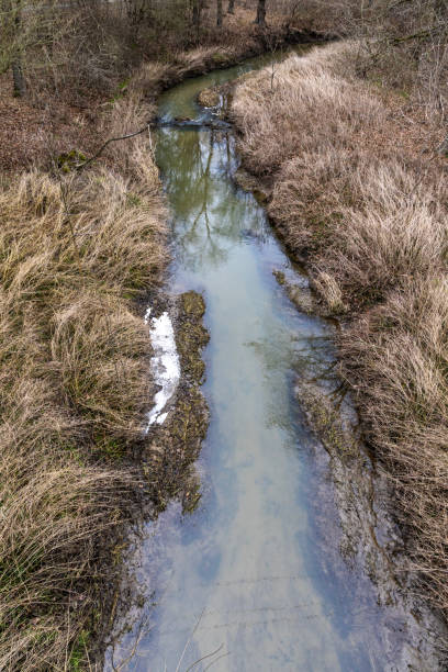 istock Spring landscape on a small river flowing into the Oder River in Poland. Natural landscape 2203577443