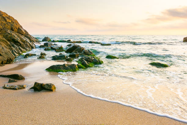 istock summer holiday season at the seaside 2203580038