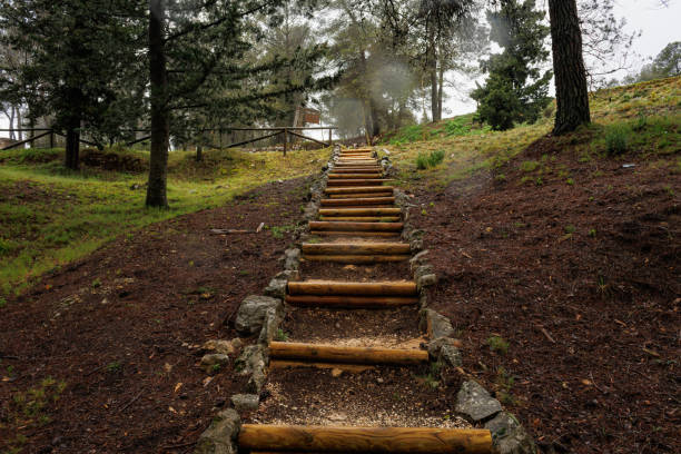 Stairs made by humans with logs in nature, Alcoy, Spain