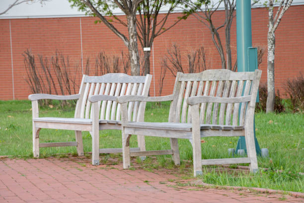 istock Spring park promenade and benches 2203591060