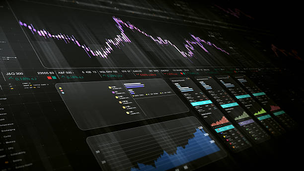 istock Business Infographic Showcase Presentation Display 2203591841