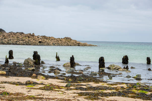 istock Wooden Pier Stumps 2203593810