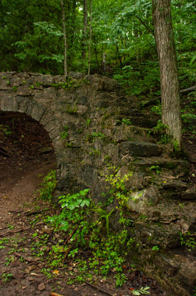 Ancient Stone Bridge Amidst Lush Green Forest with Natural Archway