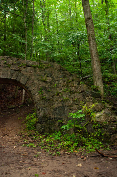 istock Ancient Stone Bridge Amidst Lush Green Forest with Natural Archway 2203593955