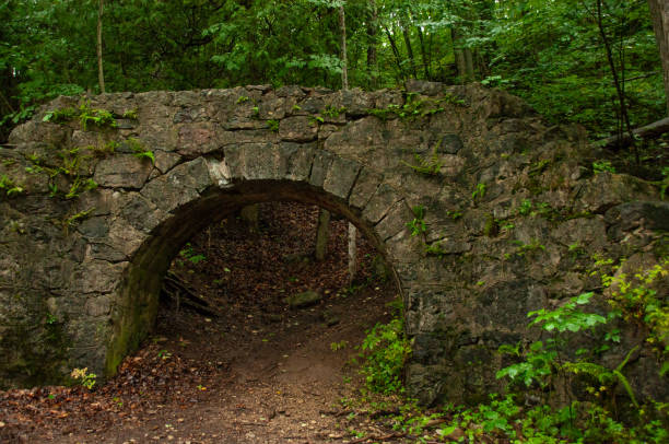 istock Ancient Stone Bridge Amidst Lush Green Forest with Natural Archway 2203593983