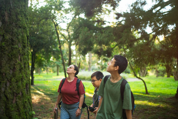 istock Family exploring nature in summer 2203598995
