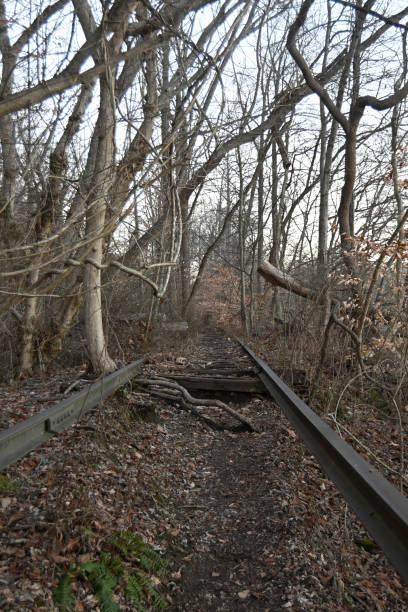 istock Hiking path through the forest with old railroad tracks in woodlands at fall 2203600521