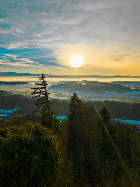 A winter wonderland unfolds from Uetliberg's summit, where Zurich lies partially blanketed in pristine snow. The white covering creates a striking contrast against Lake Zurich's steely waters, with patches of snow-laden trees dotting the shoreline. The city's rooftops wear their winter coats proudly, the snow highlighting the medieval architecture of the old town while modern buildings pierce through the white expanse like dark sentinels.\nThe Grossmünster's towers stand even more dramatic against the winter sky, their snow-capped spires reaching upward. In the foreground, snow-covered branches frame the vista, their crystalline decoration catching the light. The Limmat River appears darker against its snow-white banks, cutting a bold path through the whitewashed landscape.\nFrom this elevation, you can trace the variations in snowfall - heavier on the surrounding hills, lighter in the warming city center where urban heat has started to melt it. The Alps in the distance appear to blend seamlessly with the snowy foreground, creating an unbroken chain of white from horizon to city. As the winter sun plays across the scene, patches of snow glisten like scattered diamonds, and wisps of chimney smoke rise from snow-topped roofs, telling tales of warm hearths below.\nThe lake's surface remains unfrozen but appears almost black against the surrounding white landscape, creating a dramatic contrast that emphasizes the city's wintertime beauty. In places where the snow has been disturbed, you can see the patterns of daily life continuing - cleared roads appearing like dark ribbons through the white, and paths carved through snowy parks by morning walkers.