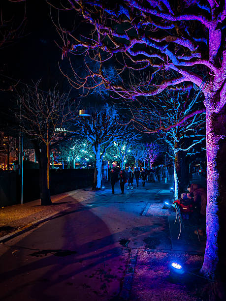 Ancient trees transformed into ethereal purple sculptures through strategic illumination, creating a magical nightscape along Lucerne's historic streets.