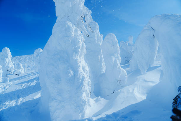 Ice crystal close-up