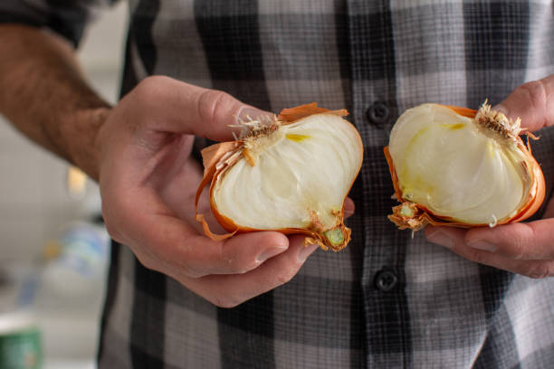 istock Close-up view of a man's hands picking up a cut red onion 2203607752