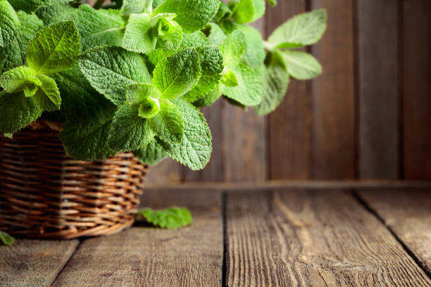 Fresh mint in a basket on an old wooden table.  Copy space.