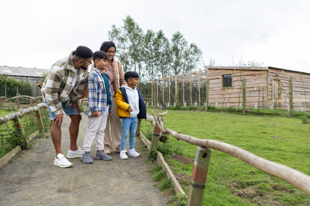 istock Children Creating Memories At The Zoo 2203611440
