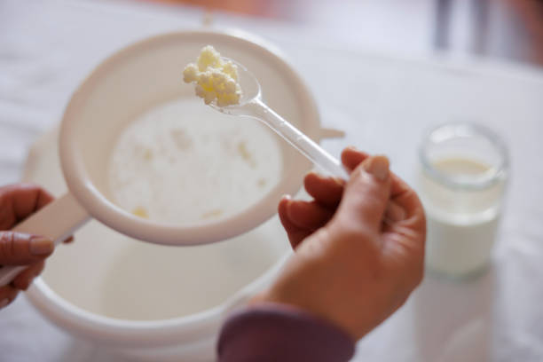 istock Close up detail of woman adding kefir grains into fermentation container 2203613837
