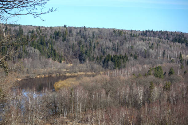 a vast landscape with forests containing a variety of trees and a small lake or river between them.