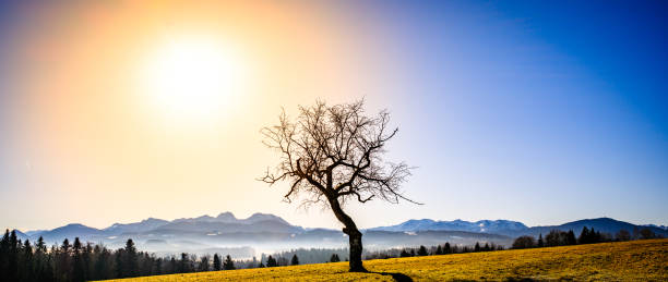 view from Wilparting in bavaria - St.Marinus church
